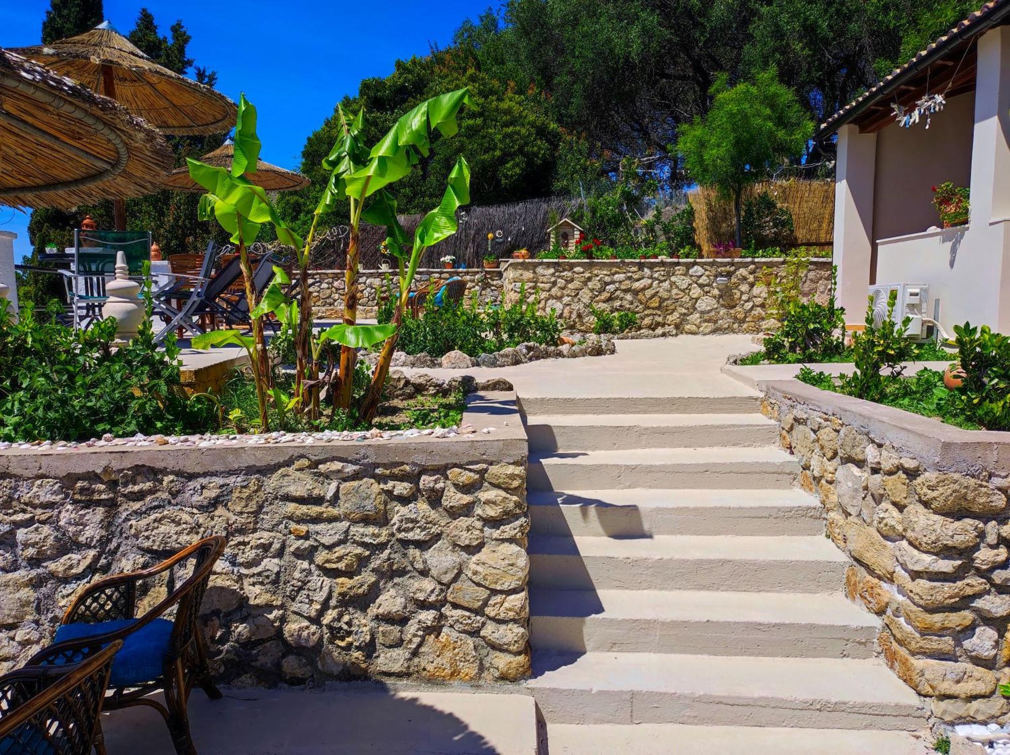 פאלאוקסטריצה Bouganville מראה חיצוני תמונה