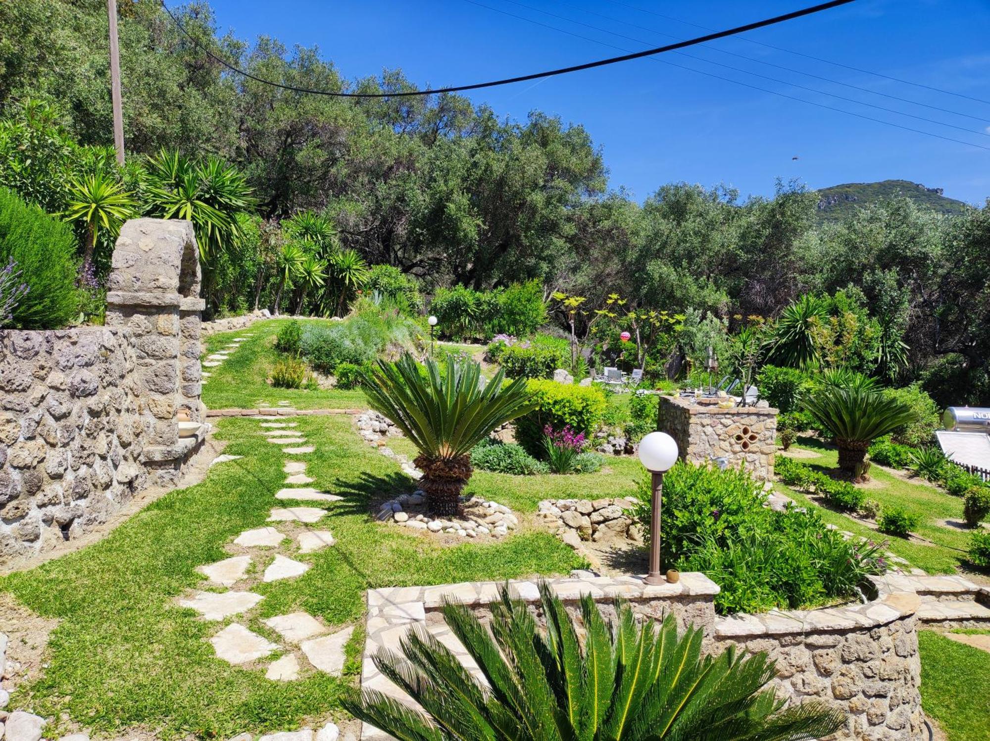 פאלאוקסטריצה Bouganville מראה חיצוני תמונה