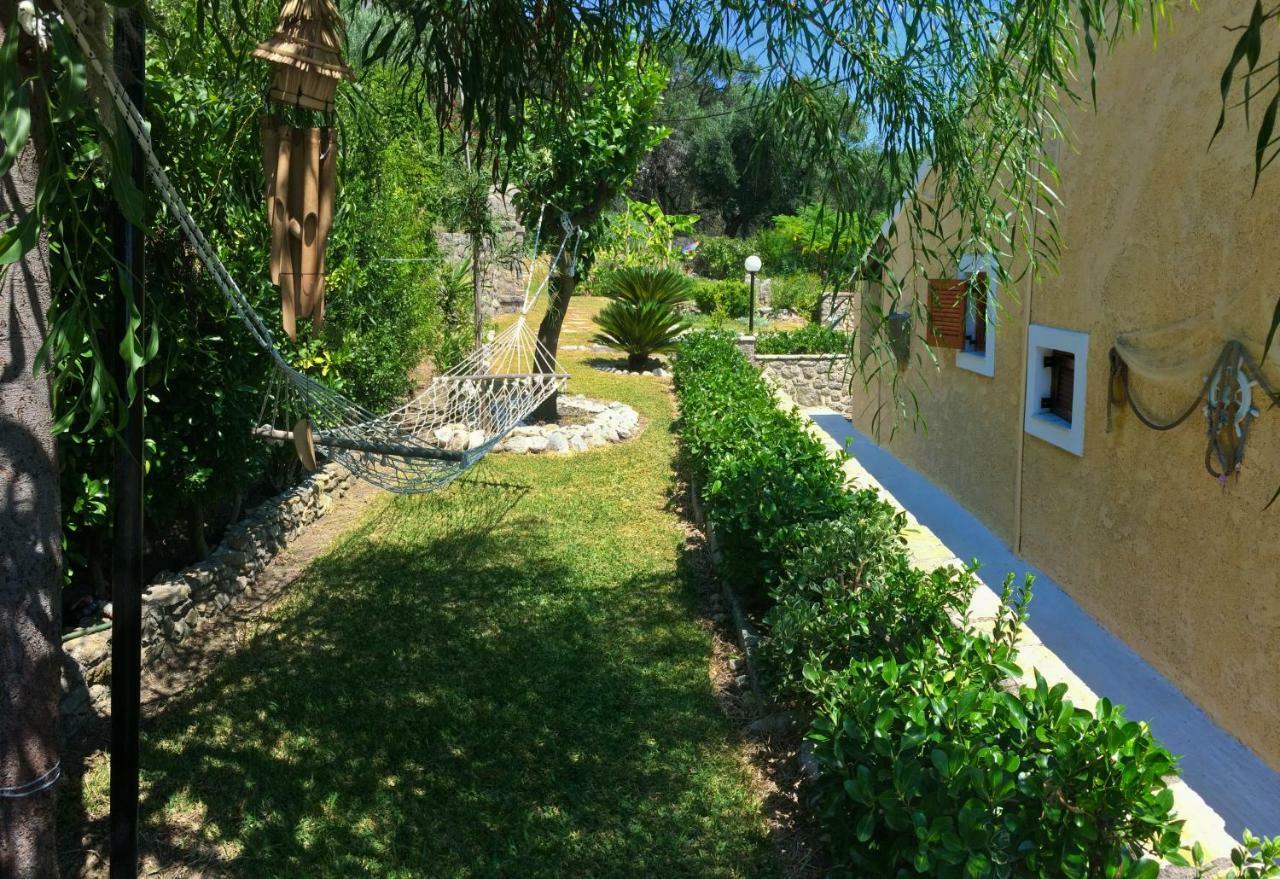 פאלאוקסטריצה Bouganville מראה חיצוני תמונה
